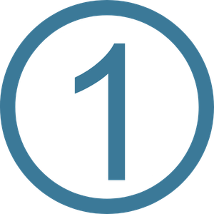 number 1 icon-1